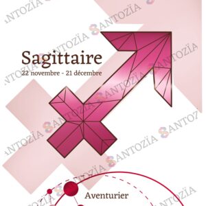 Affiche du signe astrologique du sagittaire rose origami